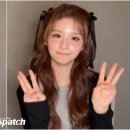 주먹이 이미지