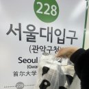 판다탕후루 | 서울대입구역탕후루 귀여운 판다탕후루 5종 후기