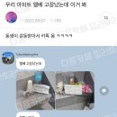 세상살이 이미지
