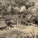 명종어필‘소수서원’현판 Daum카페
