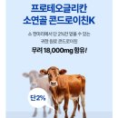 뉴프로셀 이미지