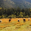 송촌목장 이미지