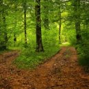 인천아시아드주경기장 이미지