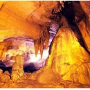 태백으뜸한우 식육점 이미지