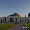 피 엘에이 이미지