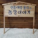 주니농장 티스토리