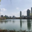 석촌호수어린이집 이미지