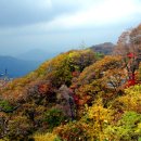 단풍