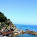 바다부채길2 이미지