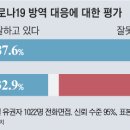 민주 지지층, 정권 바뀌자 “방역 잘한다” 84%→33% 이미지