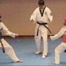 국가대표 한빛태권도 | 한국 전통의 태권도