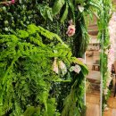 극동스포랜드 이미지