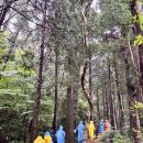 태성카 | 겨울 제주 가볼만한 곳 제주도 여행코스 한라산 영실 어리목 둘레길 바리메오름 트레킹