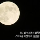 라루나컴퍼니