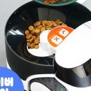 펫파맘