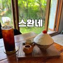 스완네 | 대구 수성구 범어동 카페 추천｜스완네 분위기+토마토빙수 내돈내산 솔직 후기