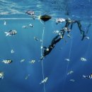 팀 와이낫 | !물 공포증 있는 분들 주목! 와이낫다이브 프리다이빙 원데이체험 대만족 후기!