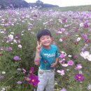 임진강나루 이미지