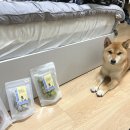 나두맘마 이미지