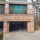 중앙동9 이미지