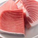 뚱참치