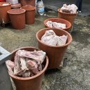 원조언양옛날곰탕 이미지