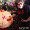 더 마차 이미지