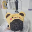 뺑코