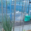 경주 둥지가족펜션 이미지