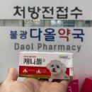 불광다올약국 이미지