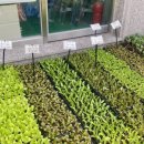 그린농자재마트 이미지