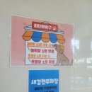 피터펫 애견카페 부산북구점 이미지