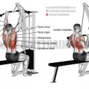 VIP퍼스널 운동센터 이미지