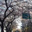 노량주차장(충렬사) 이미지