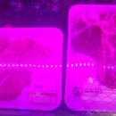 다하누인천송도점 이미지