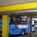 서부여객 이미지