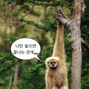 강릉커피콩빵 - 강릉시 강릉대로 109 | 강릉커피콩빵