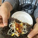 이필배의진짜루명태촌 이미지