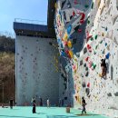 공원휴게점 | 창원 마산 만날공원 인공암벽장 아이랑 클라이밍 체험 후기 주차·예약방법