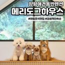 메이 더 카라반 | [메리도그하우스] 양평애견동반 감성숙소 조식 맛집으로 유명한 펜션 B-01후기
