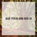 개별용달 이미지