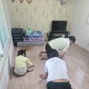 여주-1119 | 여주 참숯마을 자연촌 후기｜캠핑장 펜션 수영장 솔직후기