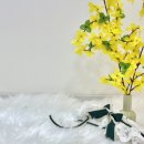 하나이누 이미지