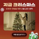 (주) 수퍼트리 | 크리스마스 트리 세일 시작! 매일 선착순 10% 할인 쿠폰 + 베스트 트리 리스트 정리