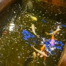 조양산업 | 강화도 빈티지 베이커리 카페 조양방직 두 번째 방문 후기