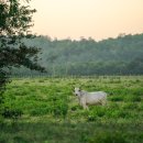 원소농장 이미지