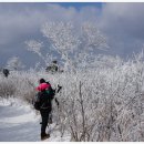 하얀천국 이미지