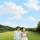 더맨헤어 - 동작구 | [로에나x위에이블] 나정작가님과 함께한 제주도 웨딩 스냅 리얼 후기(숲-들판-바다 장소 추천!)