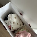 시호다영 이미지