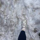 낙원식당(갈말) | [2023 해지연 🇦🇹] DAY 3 : 잘츠카머구트 - Ausser Land